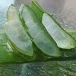 Az aloe vera hatása nagyon szerteágazó