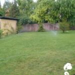 Szebb a kert, ha jól dolgozik a locsoló rendszer
